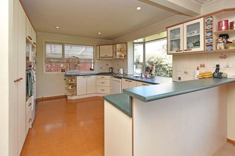 Photo of property in 87 Banks Avenue, Dallington, Christchurch, 8061
