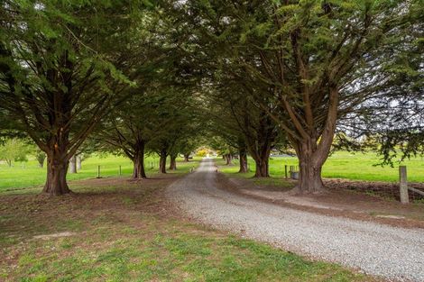 Photo of property in 447 Rosewill Valley Road, Rosewill, Timaru, 7975