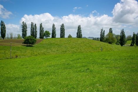 Photo of property in 47 Harris Road, Putaruru, 3483