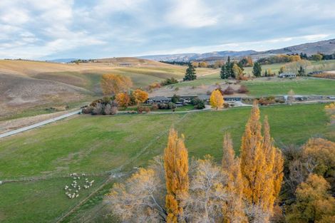 Photo of property in 192 Heaney Road, Cromwell, 9384