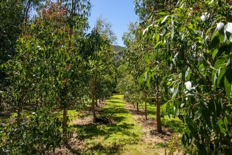 Photo of property in 1406 Queen Charlotte Drive, Linkwater, Picton, 7281