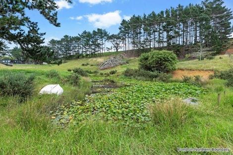 Photo of property in 108b Quail Road, Kaukapakapa, Warkworth, 0984