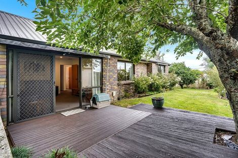 Photo of property in 49c Carey Street, Maeroa, Hamilton, 3200