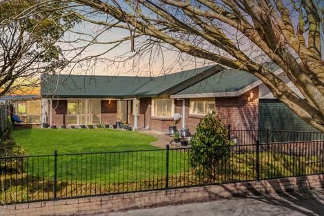 Photo of property in 119 John F Kennedy Drive, Milson, Palmerston North, 4414