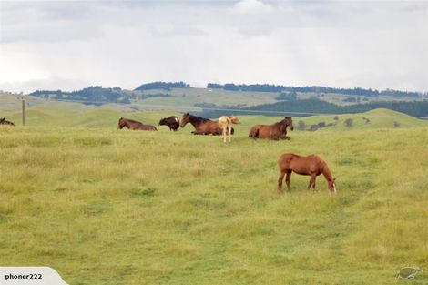 Photo of property in 761 Crownthorpe Sett Road, Crownthorpe, Hastings, 4179