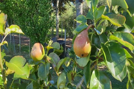 Photo of property in 61 Shannon Street, Ohakune, 4625