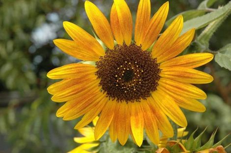 Photo of property in 107 Percival Street, Rangiora, 7400