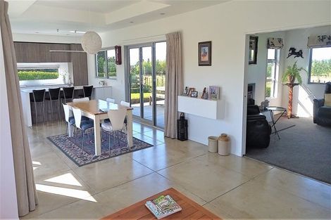 Photo of property in 317c Mount Biggs Road, Halcombe, Feilding, 4779