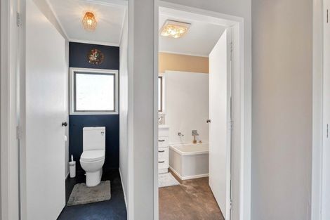 Photo of property in 15 Brecon Road, Stratford, 4332