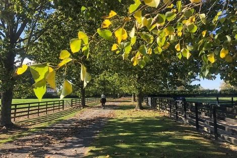 Photo of property in 353 Victoria Road, Pukemoremore, Cambridge, 3493