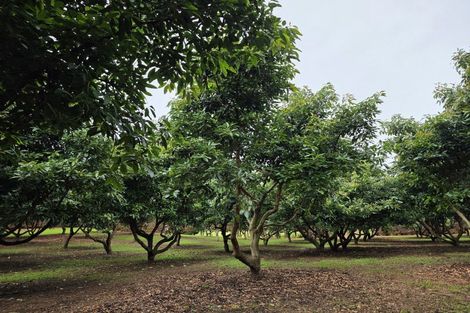 Photo of property in 244 Beach Road, Katikati, 3178