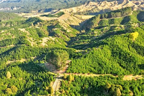 Photo of property in 751 Ongo Road, Hunterville, 4782