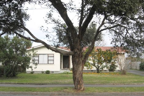 Photo of property in 41 Barnard Avenue, Maraenui, Napier, 4110