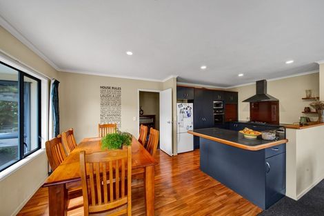 Photo of property in 45 Roto Street, Hurdon, New Plymouth, 4310