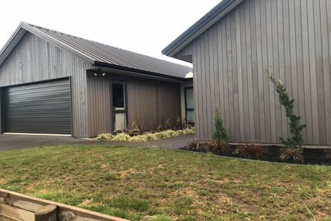 Photo of property in 4 Waghorn Street, Pyes Pa, Tauranga, 3112