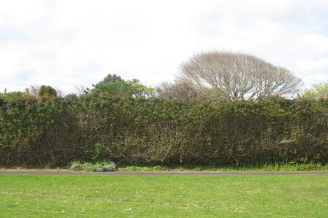 Photo of property in 48b Richmond Street, Waitara, 4320