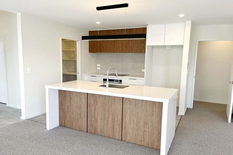 Photo of property in 8 Clare Street, Woodend, 7610