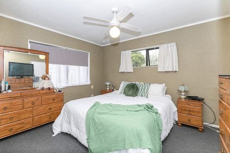 Photo of property in 248 Mcclure Street, Pirongia, 3802