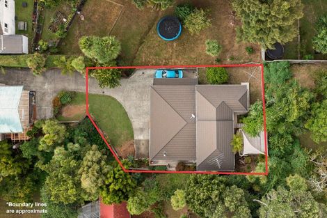 Photo of property in 45a Evans Road, Glen Eden, Auckland, 0602