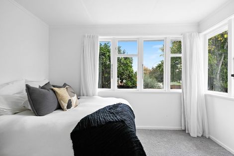 Photo of property in 128 Clarkin Road, Fairfield, Hamilton, 3214