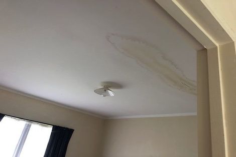 Photo of property in 6 Mako Lane, Paihia, 0200