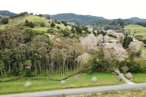 Photo of property in 236 Kaipara Flats Road, Dome Forest, Warkworth, 0981