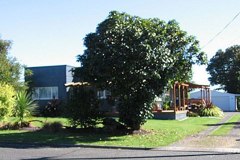 Photo of property in 10 Fitzherbert Street, Putaruru, 3411