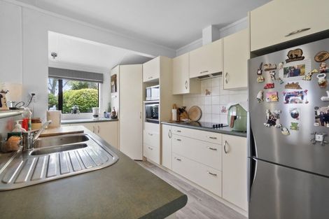 Photo of property in 19 Kingfisher Way, Te Kowhai, Hamilton, 3288