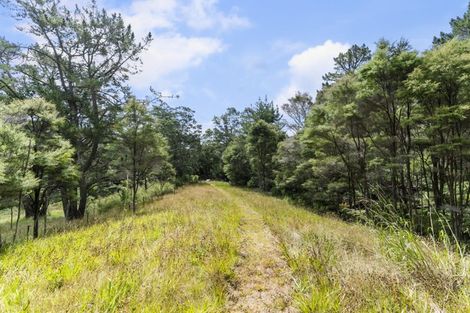 Photo of property in 126 Candia Road, Henderson Valley, Auckland, 0614