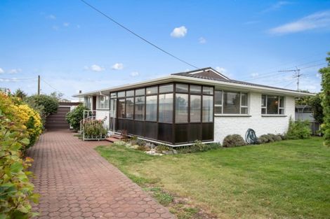 Photo of property in 113 Weld Street, Redwoodtown, Blenheim, 7201