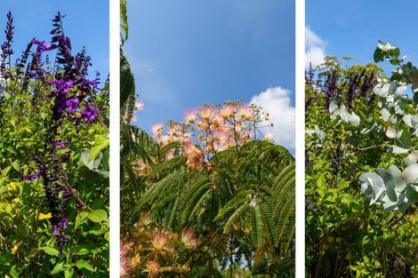 Photo of property in 911 Mclaren Falls Road, Omanawa, Tauranga, 3171