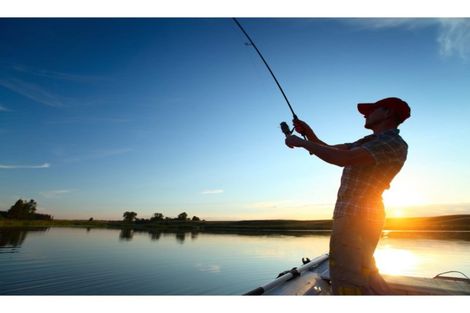 Photo of property in 30 Cordyline Road, Port Waikato, Tuakau, 2695