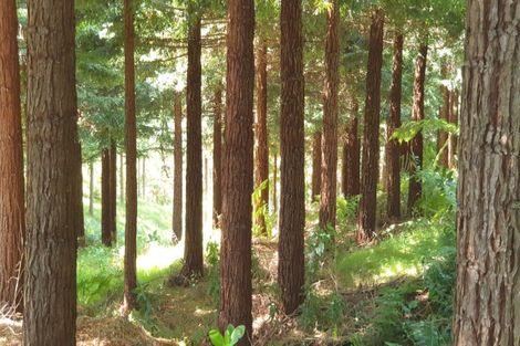 Photo of property in 521b Kauaeranga Valley Road, Thames, 3577