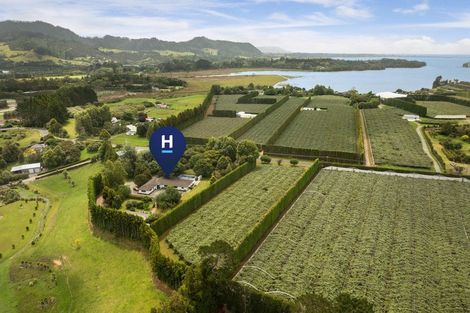 Photo of property in 116 Tuapiro Road, Tahawai, Katikati, 3170