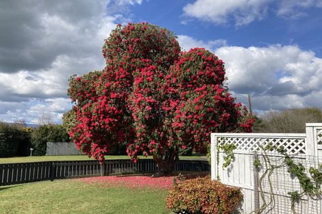 Photo of property in 57a Neal Street, Putaruru, 3411