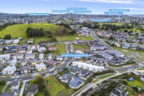 Photo of property in 12a Kallu Crescent, Mount Roskill, Auckland, 1041