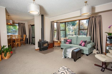 Photo of property in 219a Redwood Street, Witherlea, Blenheim, 7201