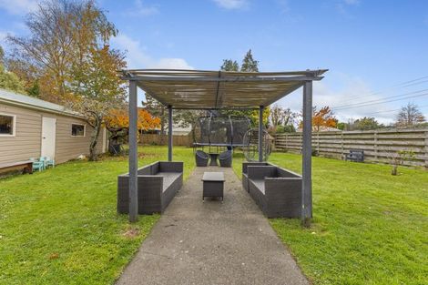 Photo of property in 17 Hobson Street, Levin, 5510