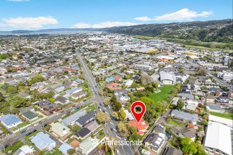 Photo of property in 135 Kings Crescent, Hutt Central, Lower Hutt, 5010