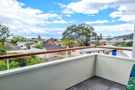 Photo of property in 109 Danby Street, Thames, 3500