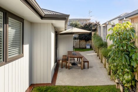 Photo of property in 20a Lincoln Terrace, Gate Pa, Tauranga, 3112
