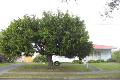 Photo of property in 39 Barnard Avenue, Maraenui, Napier, 4110