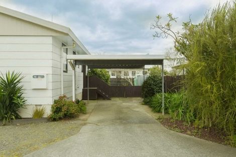 Photo of property in 100c Tawa Street, Melville, Hamilton, 3206