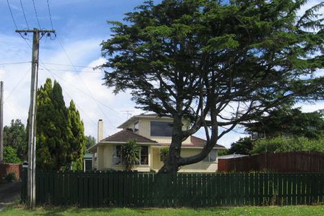 Photo of property in 46 Camp Road, Mount Wellington, Auckland, 1062