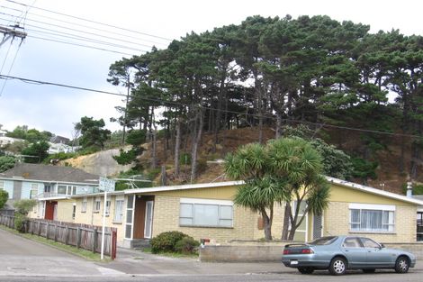Photo of property in 42b Darlington Road, Miramar, Wellington, 6022