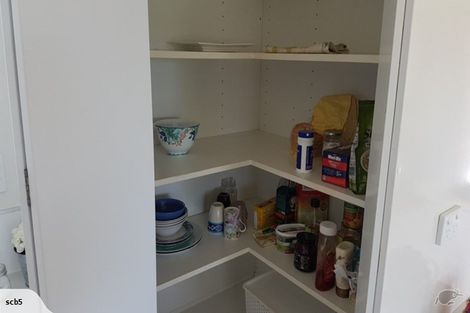 Photo of property in 32 Banks Road, Matamata, 3473