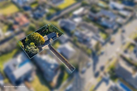 Photo of property in 41 Clifford Avenue, Merivale, Christchurch, 8014
