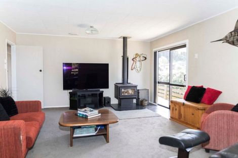 Photo of property in 67 Akitio Esplanade, Akitio, Pongaroa, 4991