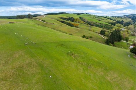 Photo of property in 65 Gabriels Gully Road, Lawrence, 9593