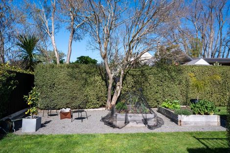 Photo of property in 43a Chambers Street, Havelock North, 4130